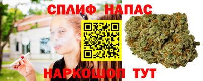 мяу мяу мука Ленинск-Кузнецкий