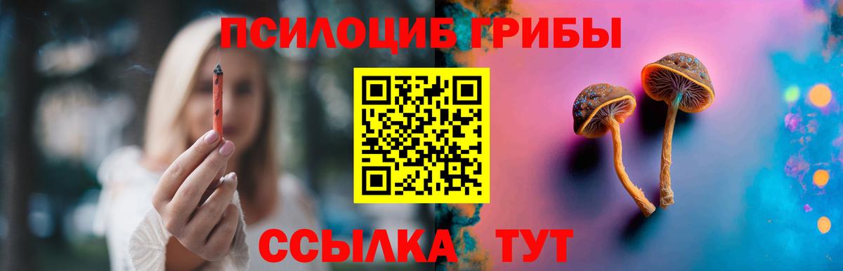 Галлюциногенные грибы Magic Shrooms Кувандык